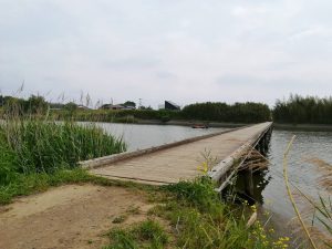 小貝川の沈下橋の小目沼橋