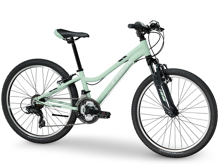 Precaliber24ミント