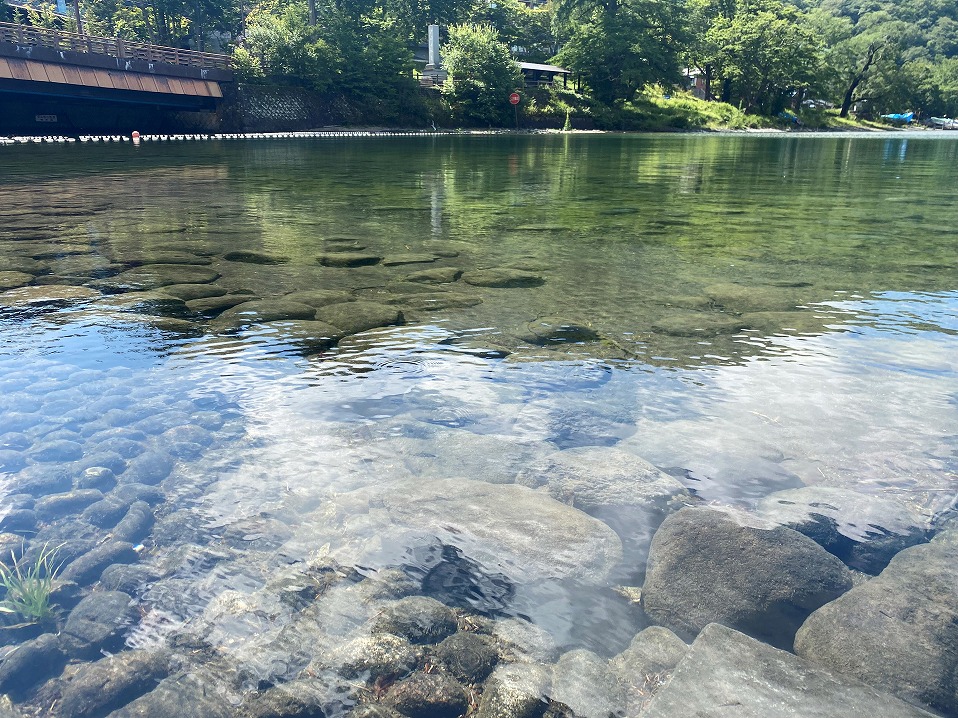中禅寺湖の水はきれい