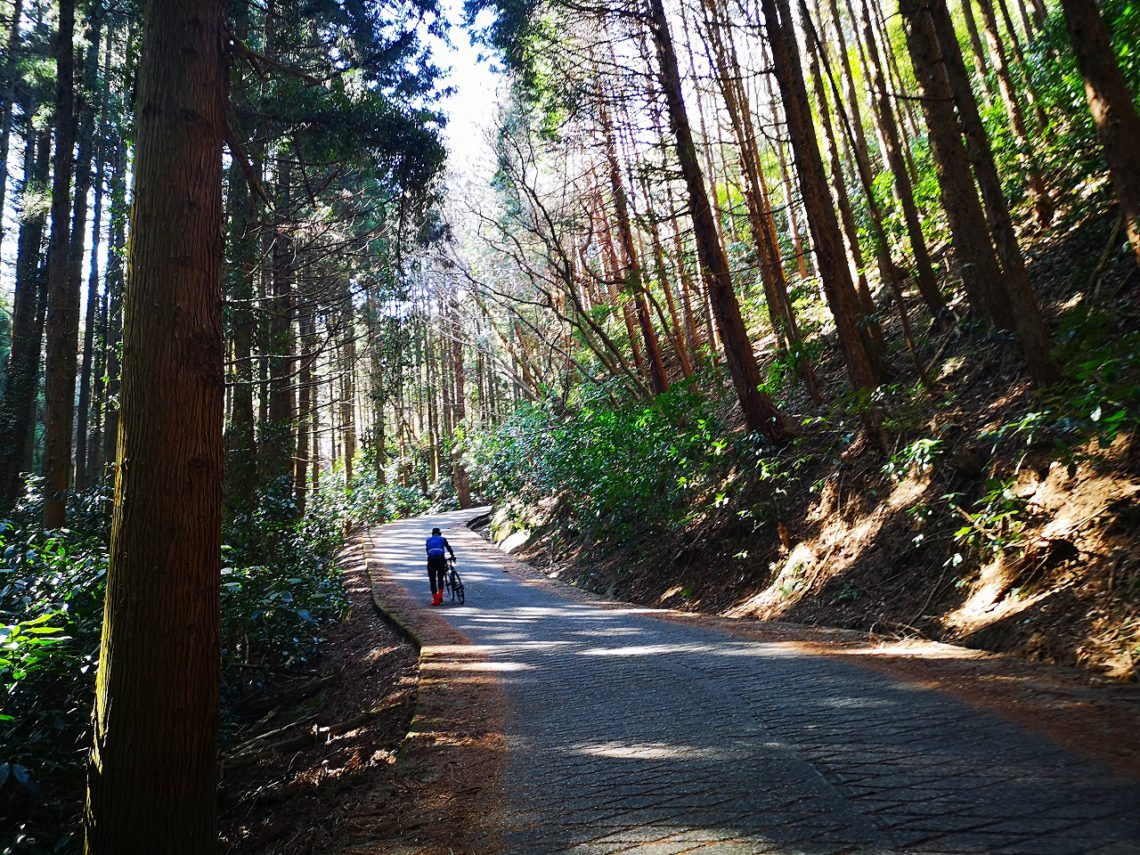 筑波山の坂と激坂を登ってきました！ | オンザロード