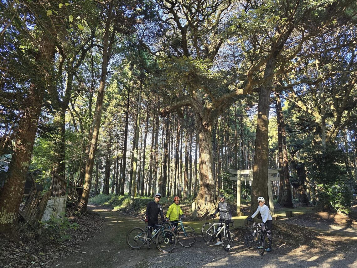 ロードサイクルにわ最適大事乗ってくれる人現状渡し取り来られる方 ロードサイクルにわ最適大事乗ってくれる人現状渡し取り来られる方